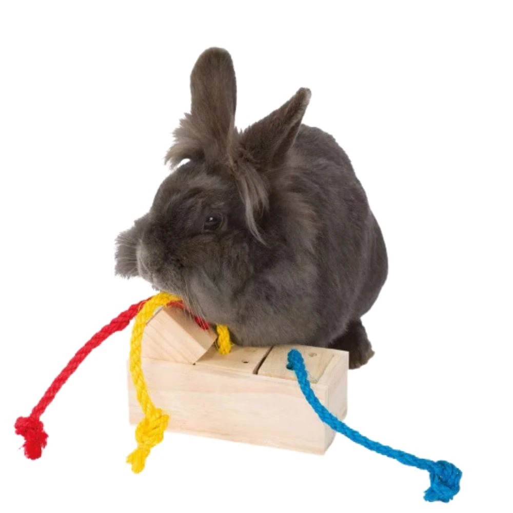 Jouet Cube Snack Pour NAC 4 Jouet Cube Snack Pour NAC – Image 2