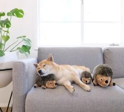 Zolux Peluche Hérisson 8 Zolux Peluche Hérisson -Flamingo || ROYAL CANIN || Trixie Soldes Boutique peluche herisson outwarddhound4