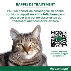 Advantage 40 Chat Et Lapin De 1 à 4 Kg -Flamingo || ROYAL CANIN || Trixie Soldes Boutique rappel traitement advantage FR 3