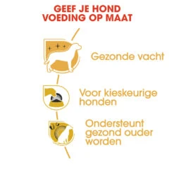 Royal Canin Yorkshire Adult Pour Chien 1,5kg -Flamingo || ROYAL CANIN || Trixie Soldes Boutique rc bhn yorkshire cv eretailkit 3 nl nl