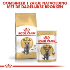 Royal Canin British Shorthair Pour Chat 10kg -Flamingo || ROYAL CANIN || Trixie Soldes Boutique rc fbn britishsh cv eretailkit 4 nl nl