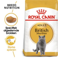Royal Canin British Shorthair Pour Chat 10kg -Flamingo || ROYAL CANIN || Trixie Soldes Boutique rc fbn britishsh mv eretailkit nl nl