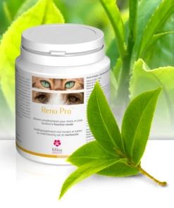 Reno Pro Miloa 30 Comprimés -Flamingo || ROYAL CANIN || Trixie Soldes Boutique reno pro