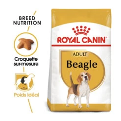 Royal Canin Beagle Adult Pour Chien 12kg -Flamingo || ROYAL CANIN || Trixie Soldes Boutique royal canin beagle adult beagle adulte 1