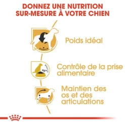 Royal Canin Beagle Adult Pour Chien 12kg -Flamingo || ROYAL CANIN || Trixie Soldes Boutique royal canin beagle adult beagle adulte 2