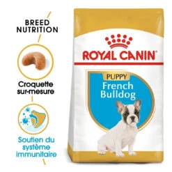 Royal Canin French Bulldog Chiot Pour Chien 10kg -Flamingo || ROYAL CANIN || Trixie Soldes Boutique royal canin bouledogue francais puppy bouledogue francais junior 1
