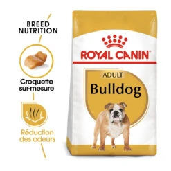 Royal Canin Bulldog Anglais Adult Pour Chien 12kg -Flamingo || ROYAL CANIN || Trixie Soldes Boutique royal canin boulldog anglais adult bulldog bouledogue anglais bulldog 1