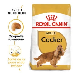Royal Canin Cocker Adult Pour Chien 12kg -Flamingo || ROYAL CANIN || Trixie Soldes Boutique royal canin cocker adult cocker 1 1