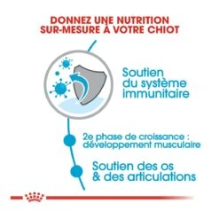 Royal Canin Giant Junior Pour Chien 15kg -Flamingo || ROYAL CANIN || Trixie Soldes Boutique royal canin giant junior giant junior 2