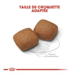 Royal Canin Giant Junior Pour Chien 15kg -Flamingo || ROYAL CANIN || Trixie Soldes Boutique royal canin giant junior giant junior 3