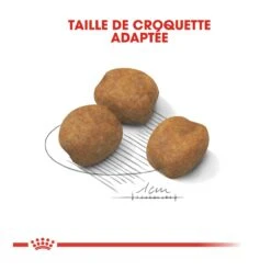 Royal Canin Giant Puppy Pour Chien - 15kg -Flamingo || ROYAL CANIN || Trixie Soldes Boutique royal canin giant puppy giant puppy 3