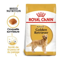Royal Canin Golden Retriever Adult Pour Chien 12kg -Flamingo || ROYAL CANIN || Trixie Soldes Boutique royal canin golden retriever adult croquettes pour chien golden retriever 1