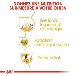 Royal Canin Golden Retriever Adult Pour Chien 12kg -Flamingo || ROYAL CANIN || Trixie Soldes Boutique royal canin golden retriever adult croquettes pour chien golden retriever 2