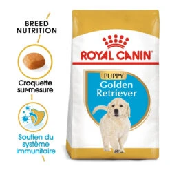 Royal Canin Golden Retriever Chiot Pour Chien 12kg -Flamingo || ROYAL CANIN || Trixie Soldes Boutique royal canin golden retriever puppy golden retriever junior 1