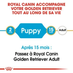 Royal Canin Golden Retriever Chiot Pour Chien 12kg -Flamingo || ROYAL CANIN || Trixie Soldes Boutique royal canin golden retriever puppy golden retriever junior 3