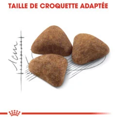 Royal Canin Indoor 27 Adult Pour Chat 10kg 13 Royal Canin Indoor 27 Adult Pour Chat 10kg -Flamingo || ROYAL CANIN || Trixie Soldes Boutique royal canin indoor indoor 1