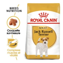 Royal Canin Jack Russell Adult Pour Chien 7,5kg -Flamingo || ROYAL CANIN || Trixie Soldes Boutique royal canin jack russell adult jack russell adulte 1