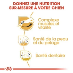 Royal Canin Jack Russell Adult Pour Chien 7,5kg -Flamingo || ROYAL CANIN || Trixie Soldes Boutique royal canin jack russell adult jack russell adulte 2