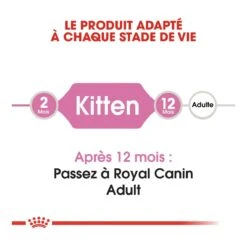 Royal Canin Chaton - 10kg -Flamingo || ROYAL CANIN || Trixie Soldes Boutique royal canin kitten second age kitten second age 2