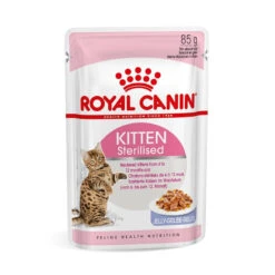 Royal Canin Kitten Sterilised -Flamingo || ROYAL CANIN || Trixie Soldes Boutique royal canin kitten sterilised kitten sterilised lot x g 1 1