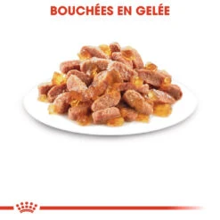 Royal Canin Kitten Sterilised -Flamingo || ROYAL CANIN || Trixie Soldes Boutique royal canin kitten sterilised kitten sterilised lot x g 1 1