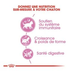 Royal Canin Kitten Sterilised -Flamingo || ROYAL CANIN || Trixie Soldes Boutique royal canin kitten sterilised kitten sterilised 3 1