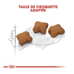 Royal Canin Kitten Sterilised -Flamingo || ROYAL CANIN || Trixie Soldes Boutique royal canin kitten sterilised kitten sterilised 4 1