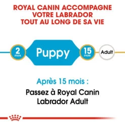 Royal Canin Labrador Retriever Chiot Pour Chien 12kg -Flamingo || ROYAL CANIN || Trixie Soldes Boutique royal canin labrador retriever puppy labrador retriever junior 3