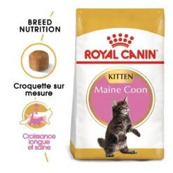 Royal Canin Maine Coon Chaton Pour Chat 10kg -Flamingo || ROYAL CANIN || Trixie Soldes Boutique royal canin maine coon kitten maine coon kitten 1