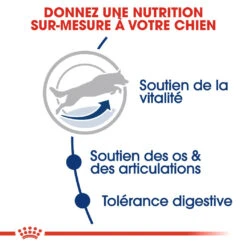 Royal Canin Maxi Adult 5+ Pour Chien 15kg -Flamingo || ROYAL CANIN || Trixie Soldes Boutique royal canin maxi adult croquettes pour chien maxi adult 3