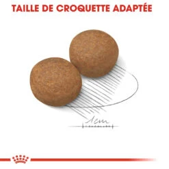 Royal Canin Maxi Adult Pour Chien 15kg -Flamingo || ROYAL CANIN || Trixie Soldes Boutique royal canin maxi adult croquettes pour chien maxi adult 3