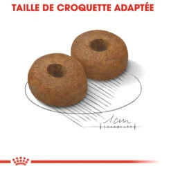 Royal Canin Maxi Ageing 8+ Pour Chien 15kg -Flamingo || ROYAL CANIN || Trixie Soldes Boutique royal canin maxi ageing croquettes pour chien maxi ageing 2