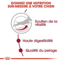 Royal Canin Medium Adult 7+ Pour Chien 15kg -Flamingo || ROYAL CANIN || Trixie Soldes Boutique royal canin medium adult medium adult 2