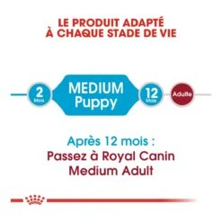 Royal Canin Medium Junior Pour Chien -Flamingo || ROYAL CANIN || Trixie Soldes Boutique royal canin medium puppy croquettes pour chiot medium puppy 2 1