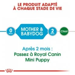 Royal Canin Mini Starter Mother & Babydog - 8Kg -Flamingo || ROYAL CANIN || Trixie Soldes Boutique royal canin mini starter mini starter 4