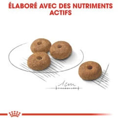 Royal Canin Sterilised Mini Adult Pour Chien 8kg -Flamingo || ROYAL CANIN || Trixie Soldes Boutique royal canin mini sterilised croquettes pour chien mini sterilised 2 2
