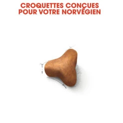 Royal Canin Chat Norvégien Adult 10kg -Flamingo || ROYAL CANIN || Trixie Soldes Boutique royal canin norvegien adult norvegien 3