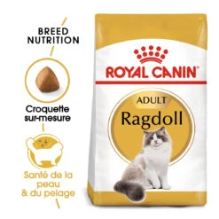 Royal Canin Ragdoll Adult Pour Chat 10kg -Flamingo || ROYAL CANIN || Trixie Soldes Boutique royal canin ragdoll adult ragdoll 1 1