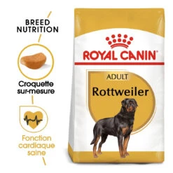 Royal Canin Rottweiler Adult Pour Chien 12kg 9 Royal Canin Rottweiler Adult Pour Chien 12kg -Flamingo || ROYAL CANIN || Trixie Soldes Boutique royal canin rottweiler adult rottweiler 1