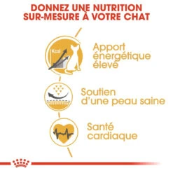 Royal Canin Sphynx Adult Pour Chat 10kg -Flamingo || ROYAL CANIN || Trixie Soldes Boutique royal canin sphynx adult sphynx 2