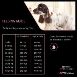 Purina Pro Plan Adult 7+ Medium Et Large Optiderma Chien 3Kg -Flamingo || ROYAL CANIN || Trixie Soldes Boutique si 4 pp dog optiderma medium adult 7 sens skin salmon fg 1080x1080 1