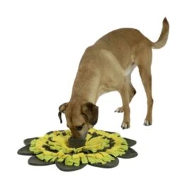 Tapis à  Renifler Sunflower -Flamingo || ROYAL CANIN || Trixie Soldes Boutique tapis a renifler sunflower3 1