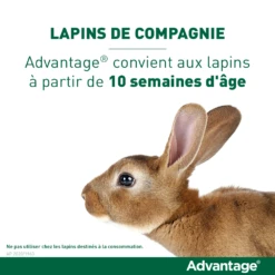 Advantage 40 Chat Et Lapin De 1 à 4 Kg -Flamingo || ROYAL CANIN || Trixie Soldes Boutique vignette lapin 1