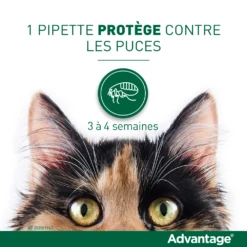 Advantage 40 Chat Et Lapin De 1 à 4 Kg -Flamingo || ROYAL CANIN || Trixie Soldes Boutique vignette puces 1