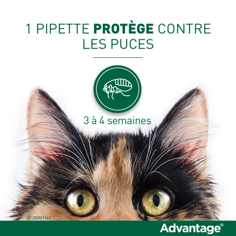 Devant -Flamingo || ROYAL CANIN || Trixie Soldes Boutique vignette puces 1 768x768 1